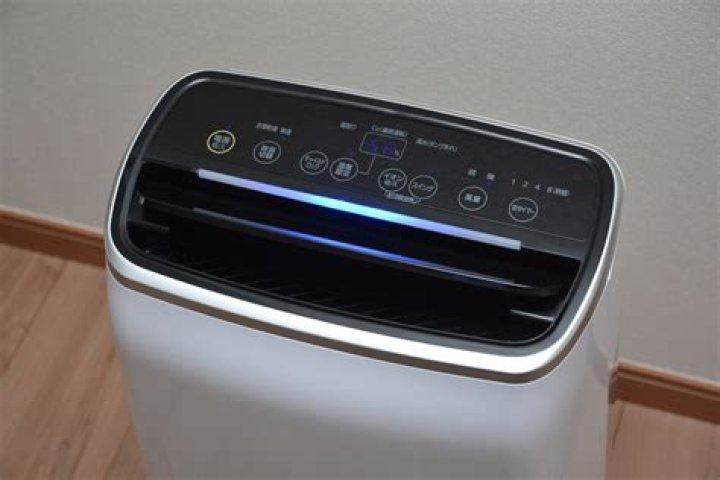 Can a dehumidifier be too big