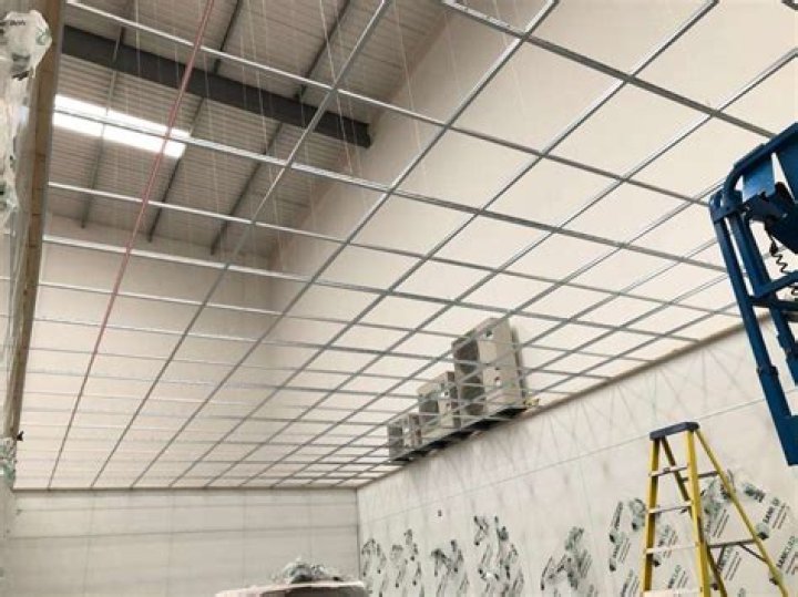 Can a drop ceiling be painted