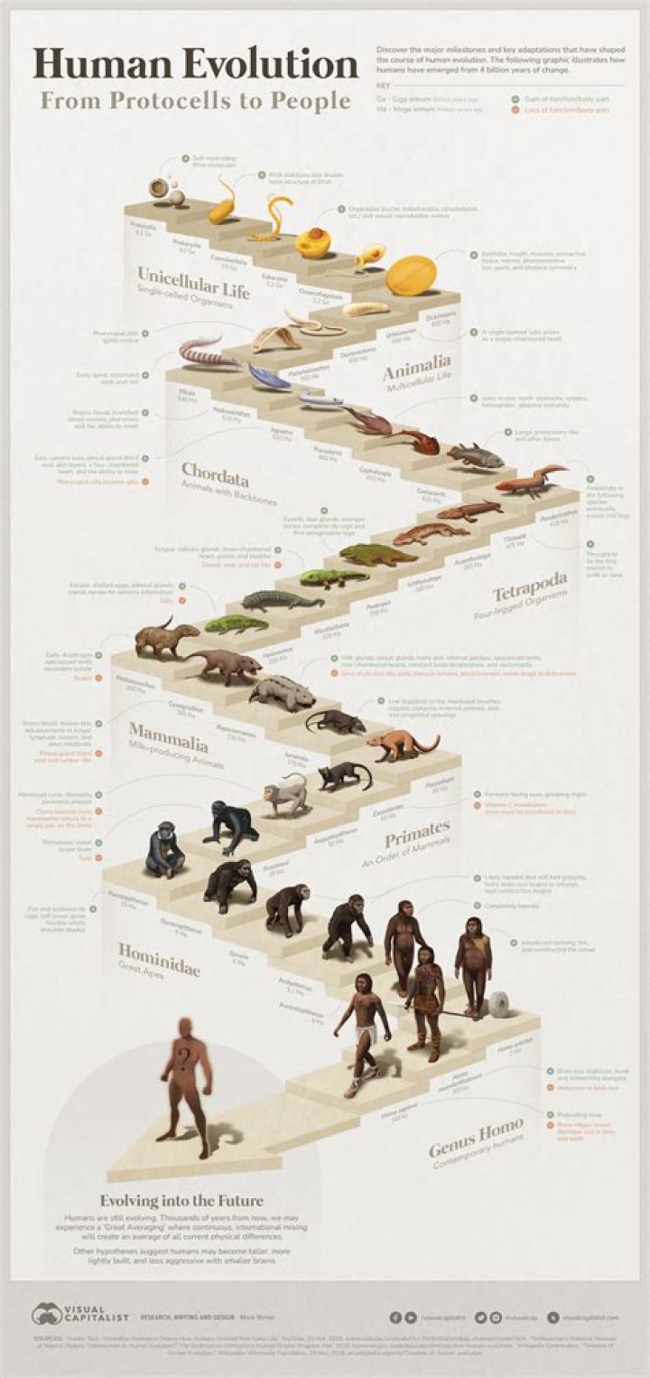 How many gods do humans have