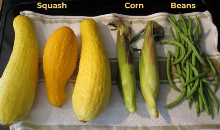 How many squash make a pound